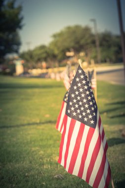 Vintage sesi uzun satırı çim yeşil çim bahçesinde darbe rüzgarda Amerikan bayrakları. Bir iş Park Caddesi boyunca uçan ABD bayrakları grupları. Plano, Texas, ABD Bağımsızlık Günü kutlamaları
