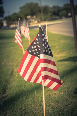 Vintage sesi uzun satırı çim yeşil çim bahçesinde darbe rüzgarda Amerikan bayrakları. Bir iş Park Caddesi boyunca uçan ABD bayrakları grupları. Plano, Texas, ABD Bağımsızlık Günü kutlamaları