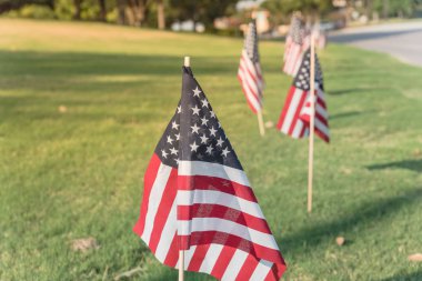 Uzun satırı çim yeşil çim bahçesinde Amerikan bayrakları rüzgarda havaya. Bir iş Park Caddesi boyunca uçan ABD bayrakları grupları. Plano, Texas, ABD Bağımsızlık Günü kutlamaları.