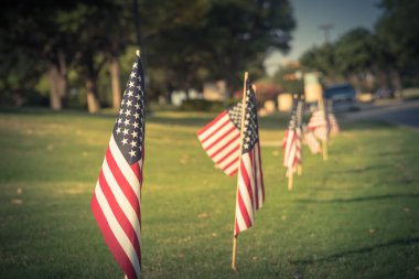 Vintage sesi dizilmiş yeşil çim çim üzerinde Amerikan bayrakları rüzgarda havaya. Özgürlüğün bir iş park vatansever sembolü uçan ABD bayraklar grupları. Plano, Texas, ABD Bağımsızlık Günü kutlamaları
