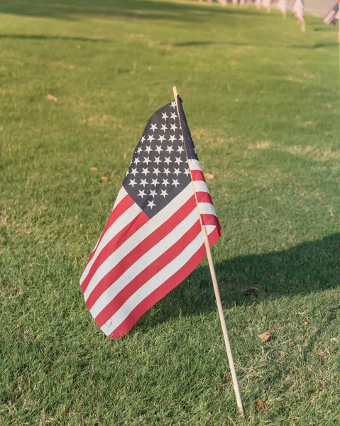 Amerikan bayrağı görüntülenen onuruna 4 Temmuz Bağımsızlık Günü'nde yeşil çim çim. Bayrakları mesafe arka planda satır