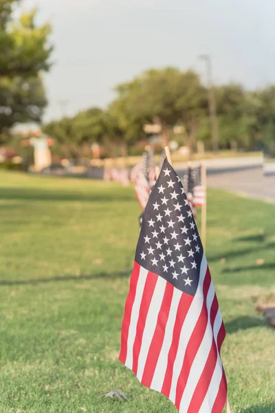 Long Row Lawn American Flags Green Grass Yard Blow Wind — Stock Photo, Image