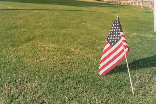 Amerikan bayrağı görüntülenen onuruna 4 Temmuz Bağımsızlık Günü'nde yeşil çim çim. Bayrakları mesafe arka planda satır