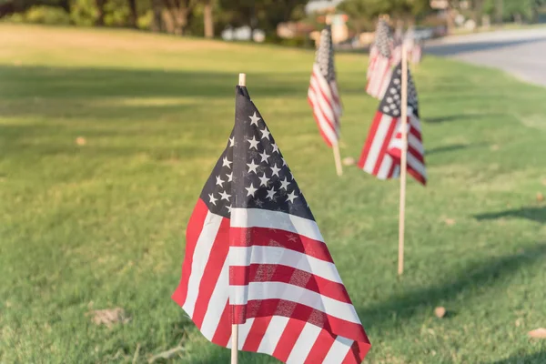 Uzun satırı çim yeşil çim bahçesinde Amerikan bayrakları rüzgarda havaya. Bir iş Park Caddesi boyunca uçan ABD bayrakları grupları. Plano, Texas, ABD Bağımsızlık Günü kutlamaları.