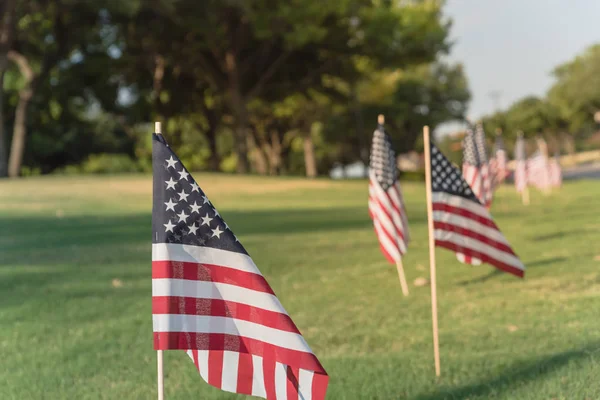 Amerikan bayrakları kadar yeşil çim çim darbe rüzgarda kaplı. Özgürlüğün bir iş park vatansever sembolü uçan ABD bayraklar grupları. Plano, Texas, ABD Bağımsızlık Günü kutlamaları.