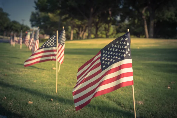 Vintage sesi dizilmiş yeşil çim çim üzerinde Amerikan bayrakları rüzgarda havaya. Özgürlüğün bir iş park vatansever sembolü uçan ABD bayraklar grupları. Plano, Texas, ABD Bağımsızlık Günü kutlamaları