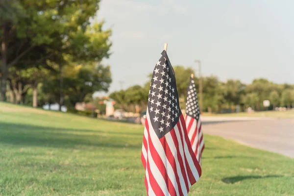 Uzun satırı çim yeşil çim bahçesinde Amerikan bayrakları rüzgarda havaya. Bir iş Park Caddesi boyunca uçan ABD bayrakları grupları. Plano, Texas, ABD Bağımsızlık Günü kutlamaları.