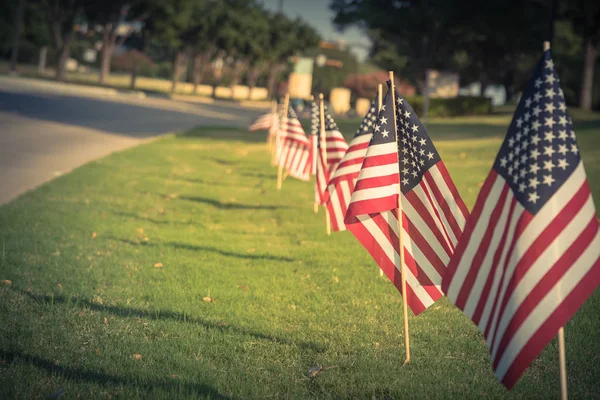 Εκλεκτής ποιότητας αμερικανικές σημαίες στην πράσινη χλόη χορτοταπήτων κοντά στο δρόμο — Φωτογραφία Αρχείου