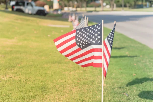 Çim bağımsızlık günü Amerikan bayrakları yeşil çimen