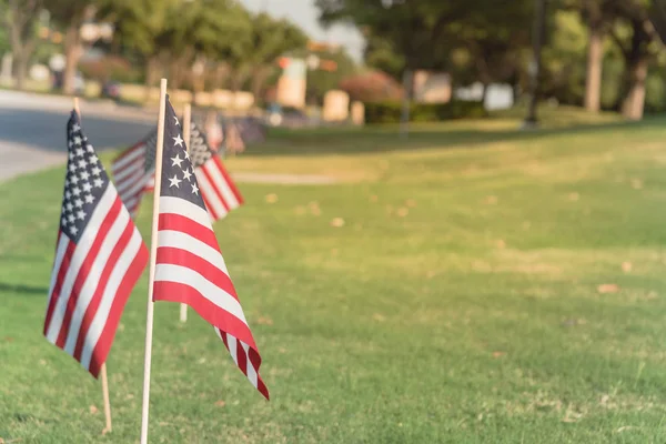 Çim bağımsızlık günü Amerikan bayrakları yeşil çimen