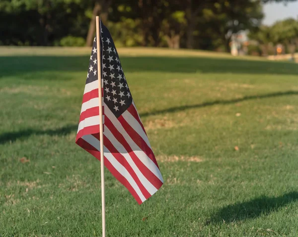Çim bağımsızlık günü Amerikan bayrakları yeşil çimen