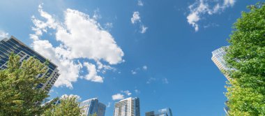 Panorama güneşli bir günde şehir merkezinde Dallas güzel yeşil kent park görüntüleyin. Modern arka plan bulut mavi gökyüzü binalarda ile düşük açılı görünümü ağaç yemyeşil gölgelik. Genel eğlence ve açık kavramı