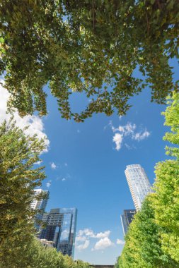 Güzel yeşil kent park merkezinde Dallas güneşli gün. Modern arka plan bulut mavi gökyüzü binalarda ile düşük açılı görünümü ağaç yemyeşil gölgelik. Genel eğlence ve açık hava etkinlikleri kavramı