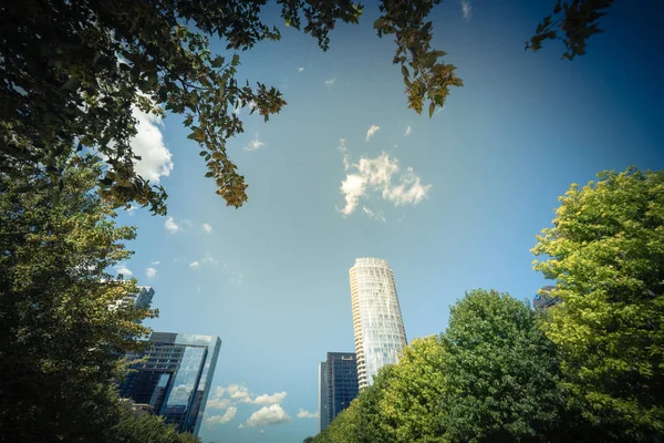 Hermoso Parque Urbano Verde Centro Dallas Día Soleado Bajo Ángulo —  Fotos de Stock
