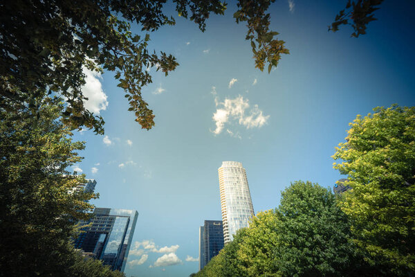 Beautiful green urban park in downtown Dallas in sunny day. Low angle view tree lush canopy with modern buildings in background cloud blue sky. Public recreation and outdoor activities concept