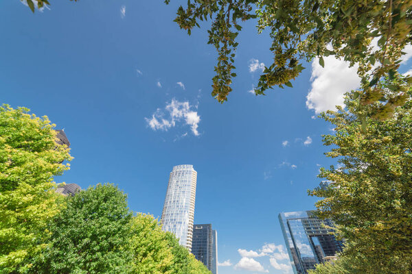 Beautiful green urban park in downtown Dallas in sunny day. Low angle view tree lush canopy with modern buildings in background cloud blue sky. Public recreation and outdoor activities concept