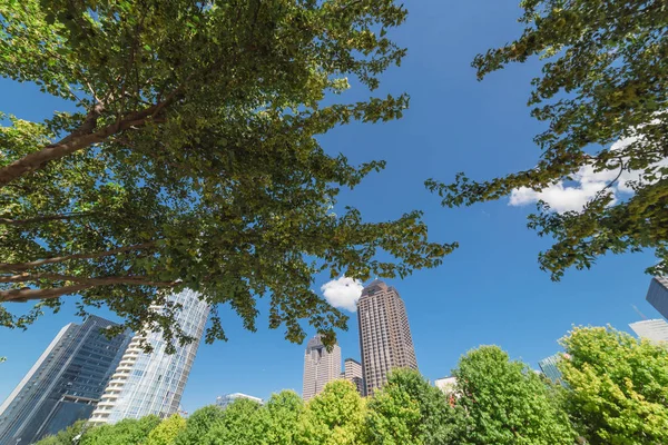 Güzel yeşil kent park merkezinde Dallas güneşli gün. Modern arka plan bulut mavi gökyüzü binalarda ile düşük açılı görünümü ağaç yemyeşil gölgelik. Genel eğlence ve açık hava etkinlikleri kavramı