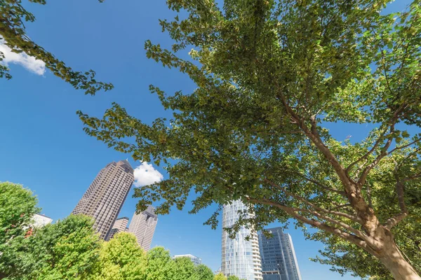 Hermoso Parque Urbano Verde Centro Dallas Día Soleado Bajo Ángulo —  Fotos de Stock