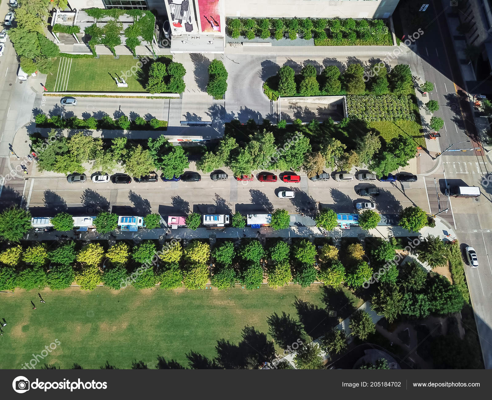 Top View Green Urban Park Row Colorful Mobile Food Truck