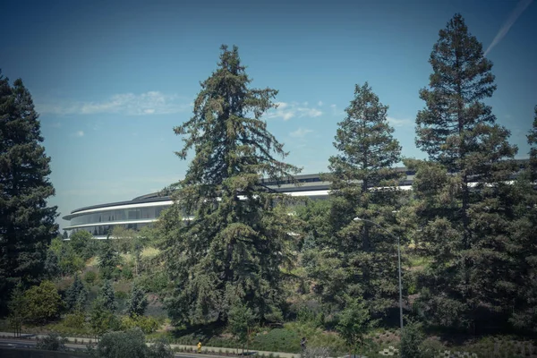 Modern rounded glass office building with red wood trees landscape