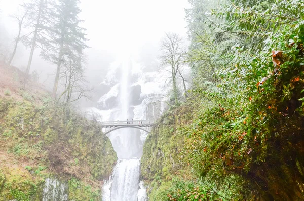 Lindas Cataratas Multnomah Geladas Inverno Uma Cachoeira Lado Oregon Desfiladeiro — Fotografia de Stock