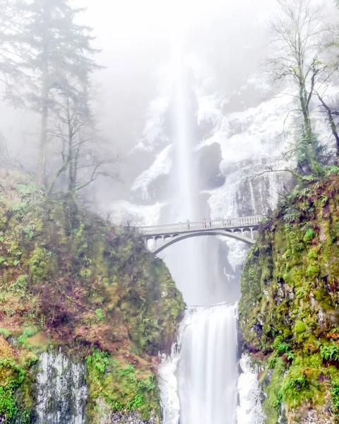 Lindas Cataratas Multnomah Geladas Inverno Uma Cachoeira Lado Oregon Desfiladeiro — Fotografia de Stock