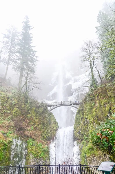 Lindas Cataratas Multnomah Geladas Inverno Uma Cachoeira Lado Oregon Desfiladeiro — Fotografia de Stock