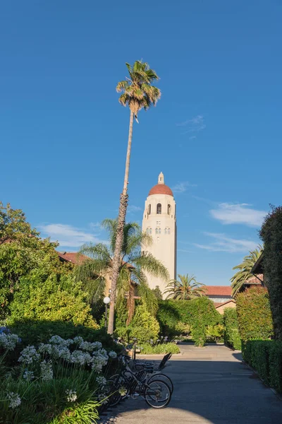 夕暮れ時 カリフォルニア州パロアルトのスタンフォード大学フーバー タワー — ストック写真