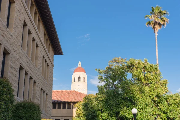 Stanford Üniversitesi Palo Alto Kaliforniya Batımında Hoover Kulesi — Stok fotoğraf