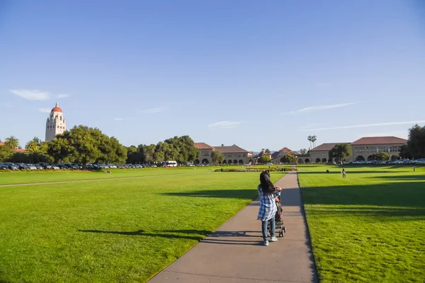 カリフォルニア州 私たち Jul 2018 Oval 緑の芝生とスタンフォード大学キャンパスにおける経路夕暮れ時 多くの学生 訪問者や家族は 草に覆われた緑の空間をお楽しみください フーバー — ストック写真