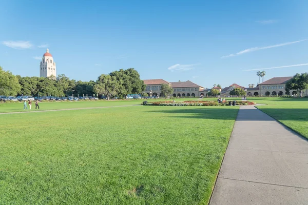 California Jul 2018 Césped Verde Ovalado Camino Campus Universidad Stanford —  Fotos de Stock