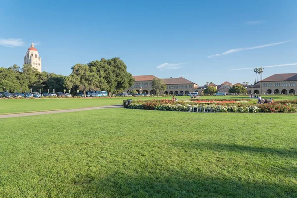 カリフォルニア州 私たち Jul 2018 Oval 緑の芝生とスタンフォード大学キャンパスにおける経路夕暮れ時 多くの学生 訪問者や家族は 草に覆われた緑の空間をお楽しみください フーバー — ストック写真