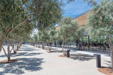 Cupertino, Ca, bize-Temmuz 18, 2018: Dış görünümü Apple Park Ziyaretçi Merkezi, Apple yeni kampüs mimari bir uzantısıdır. Zeytin ağaçları ile çevrili alan cam pencere açık ile çağdaş tasarım