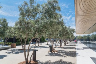 Cupertino, Ca, bize-Temmuz 18, 2018: Dış görünümü Apple Park Ziyaretçi Merkezi, Apple yeni kampüs mimari bir uzantısıdır. Zeytin ağaçları ile çevrili alan cam pencere açık ile çağdaş tasarım