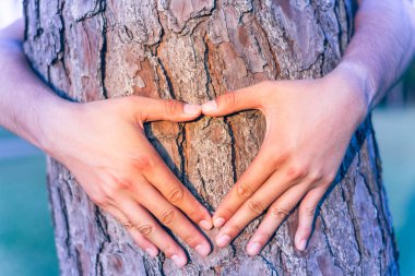 Vintage sesi erkek çam ağacının gövde etrafında bir kalp şekil verme eller. Sıcak hafif, yumuşak odak park/orman manzara arka plan. İnsan eli hugs, ağaç sarın. Kişi, ekoloji kavramı, insan ve doğa