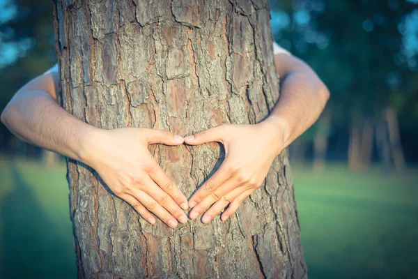 Vintage tone male hands making a heart shape around trunk of pine tree. Warm light, soft focus park/forest landscape background. Human hands hugs, wrap tree. Human and nature contact, ecology concept