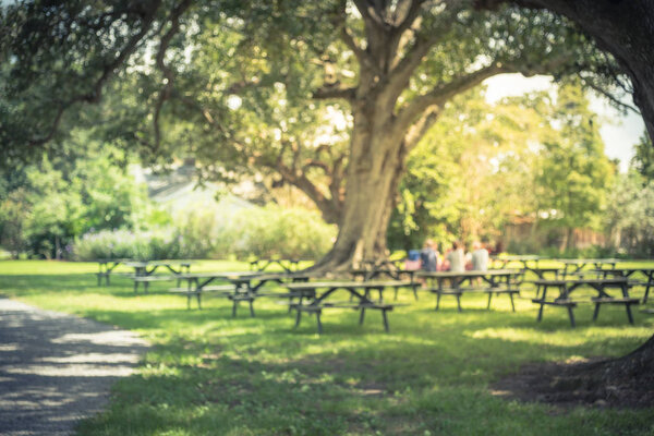 Vintage tone blurred image of picnic tables, green grass and people having lunch outdoor under shade of Southern live oak trees at Louisiana on a sunny day. Nature Picnic Chilling Out Unity Concept