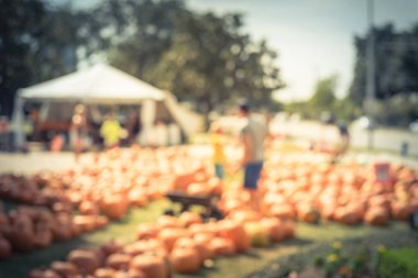 Vintage sesi bulanık görüntü ücretsiz genel kabak yama Houston, Texas, yerel toplum kilisede bize. Tanımlanamayan ebeveynler, çocuklar pikap kabak, satış tanıtım doğru git. Cadılar Bayramı arka plan