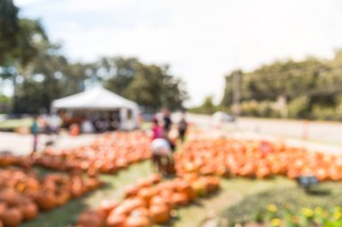 Bulanık görüntü yerel topluluk Kilisesi Houston, Texas, genel kabak yama için ücretsiz bize. Kimliği belirsiz ebeveynler ve çocuklar pikap balkabağı. Kabak satış tanıtım doğru git. Cadılar Bayramı arka plan.