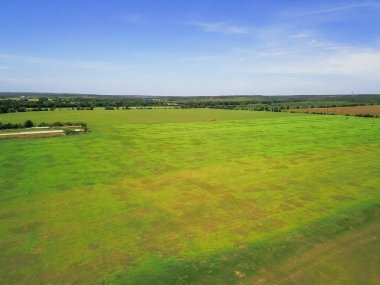 Havadan görünümü yeşil tarım arazileri ve haddeleme hill peyzaj manzaralı sürücü Hill Country, West Texas, ABD ile. Yatay atış kırsal ve ranch köprü, mavi gökyüzü