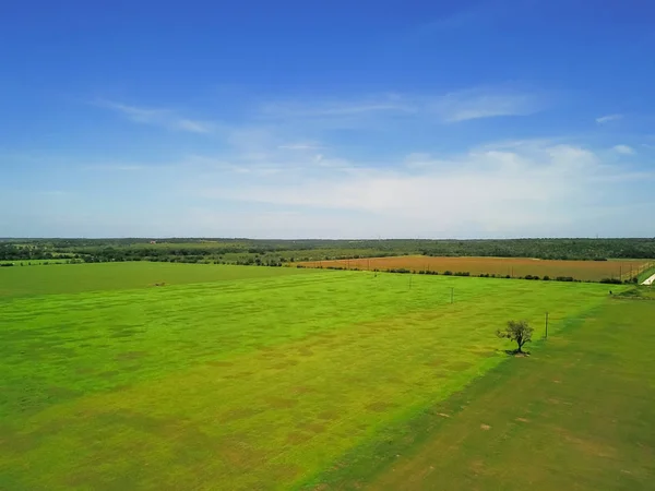緑空撮農地や丘の国 西のテキサス 米国で風光明媚なドライブで圧延丘の景色 水平田園地帯や牧場の高架道路 青い空を撮影 — ストック写真