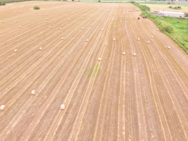 Vista Aérea Horizontal Empacar Heno Una Granja Maíz Después Cosecha — Foto de Stock