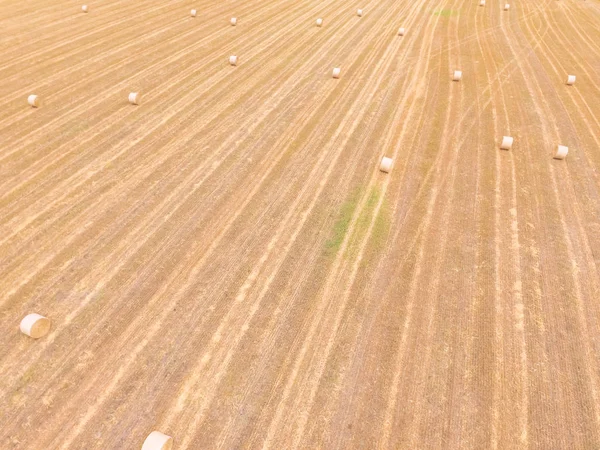 Αεροφωτογραφία Bale Σανού Ένα Αγρόκτημα Καλαμπόκι Μετά Συγκομιδή Στο Ώστιν — Φωτογραφία Αρχείου