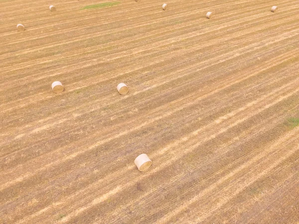 Vista Aérea Paca Heno Una Granja Maíz Después Cosecha Austin — Foto de Stock