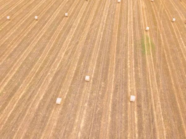 Aerial View Bale Hay Corn Farm Harvest Austin Texas Golden — Stock Photo, Image