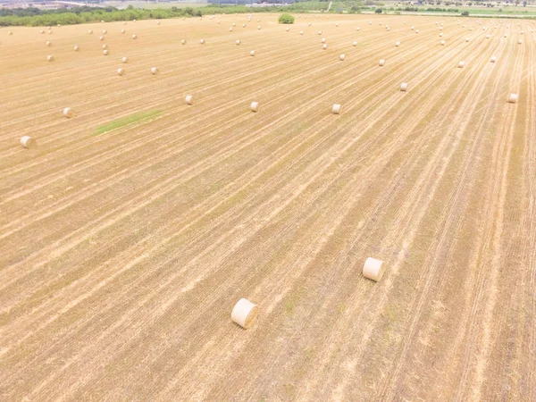 Οριζόντια Αεροφωτογραφία Bale Σανού Ένα Αγρόκτημα Καλαμπόκι Μετά Συγκομιδή Στο — Φωτογραφία Αρχείου