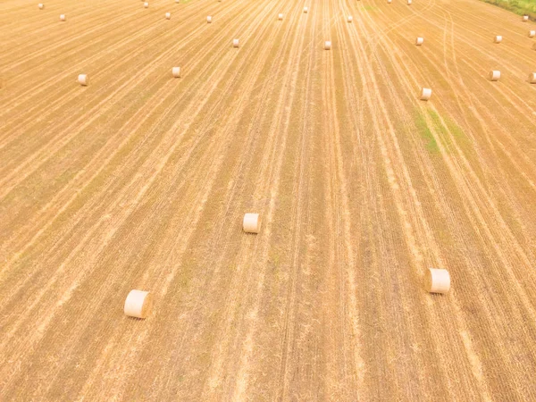 Vista Aérea Paca Heno Una Granja Maíz Después Cosecha Austin — Foto de Stock