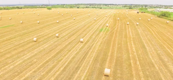 Heno Pacas Aéreas Horizontales Panorama Una Granja Maíz Después Cosecha — Foto de Stock