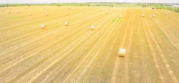 Panorama Horizontální Anténa Balíku Sena Farmě Kukuřice Sklizni Austinu Texasu — Stock fotografie