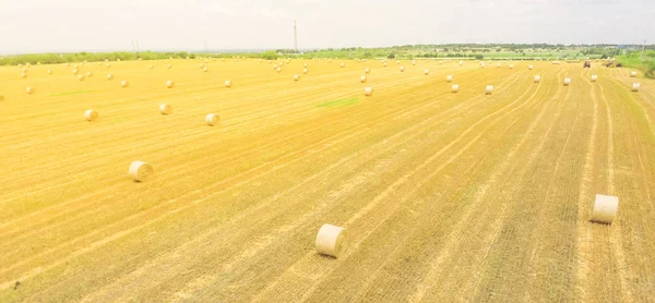 Heno Pacas Aéreas Horizontales Panorama Una Granja Maíz Después Cosecha — Foto de Stock